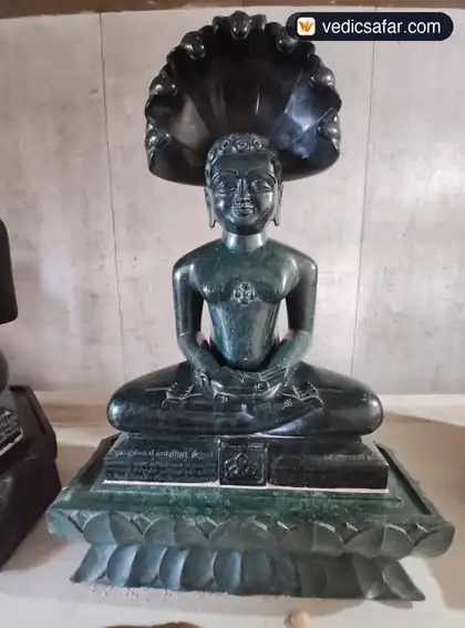 Acharya Shri Shanti Sagar Dham Shikharji (Madhuban) photo 5