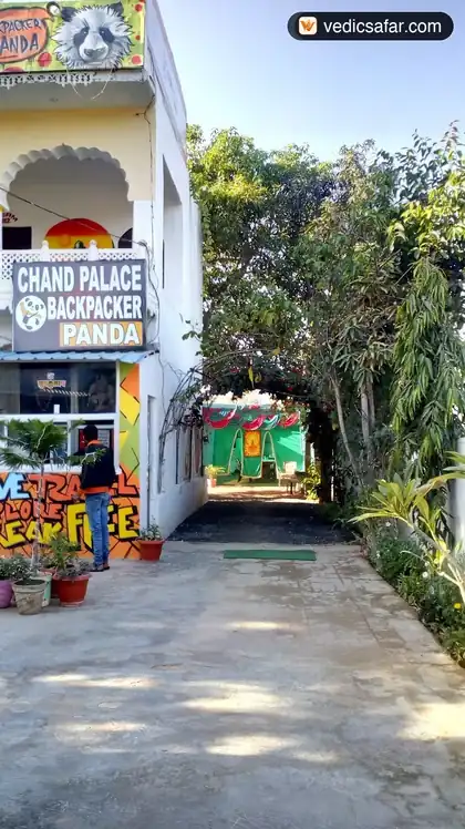 Backpacker Panda photo 4