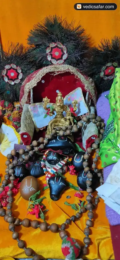 Shri Brahmrishi Sadhna Ashram Badrinath photo 3