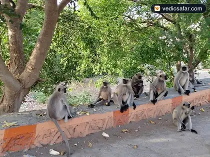 Bhagirath Wadi Bhavnath (Junagadh) photo 4