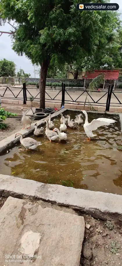 Botad Heritage Dharamshala Yatrik Bhuvan photo 5