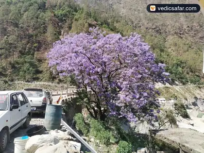 Chamoli Birahi Hotel Aditya photo 4