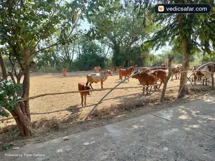 Chandod Poicha Shree Gyan Sadhana Ashram photo 3