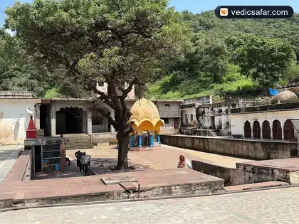 Chitrakoot Palimar Pejawara Mutt photo 2