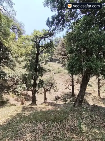 Chopta Hotel Trishul Holiday Resort photo 3