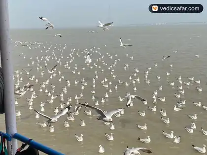 Gangasagar Sea Beach & Hotel photo 5