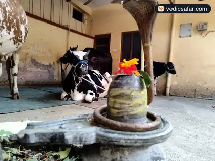 Nirmal Sachidanand Ashram Haridwar photo 2