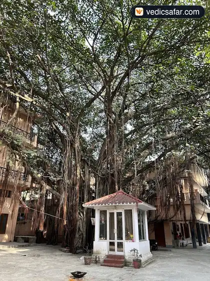 Koviloor Vedanta Mutt Rishikesh photo 5