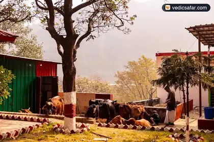Yoganandham Ashram (Anand Dham) Rishikesh photo 3