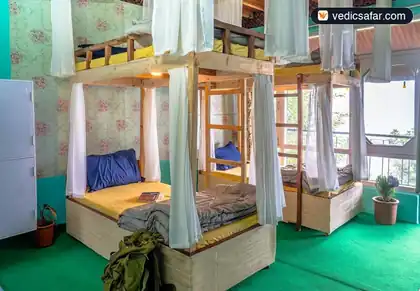Vibe Hostel photo 2